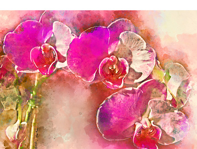 Magenta Orchids design digital painting illustration