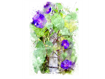 Convolvulus Post digital painting illustration photoshop