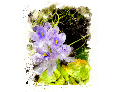 Son of Water Hyacinth digital painting illustration photoshop