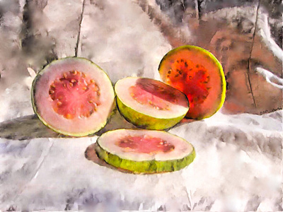 Guava Slices botanical digital painting illustration photoshop