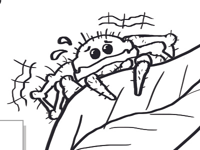 Little spider illustration cartoon illustration scared spider