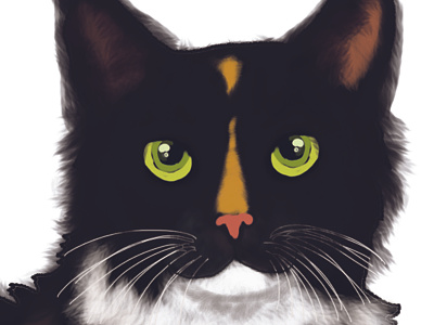 Cat portrait painting cat eyes fur fuzzy painting photoshop whiskers