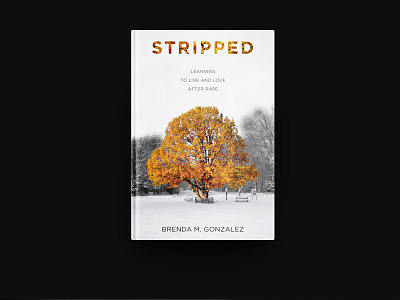 Stripped Book Cover Design book cover