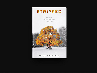 Stripped Book Cover Design