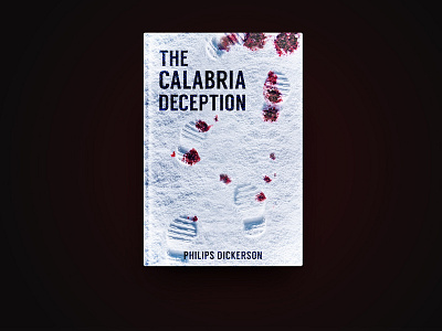 The Calabria Deception Book Cover Concept. book cover