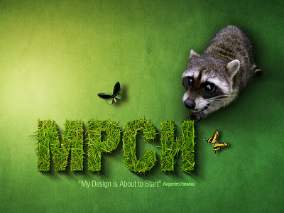 Font grass + raccoon