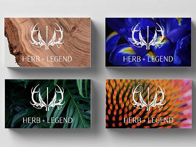 Herb+Legend Business Card Backs acupuncture antlers branding flower logo medicine needle plant