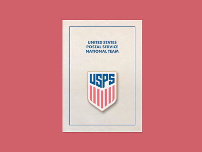 The USPS National Team Pin crest democracy enamel pin logo usa usps