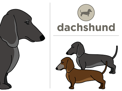 Dachshunds - Debbie Dolly 2020 dachshund dogs illustration vector wiener