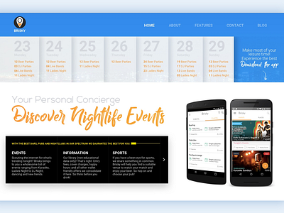 Brisky Website Redesign Concept