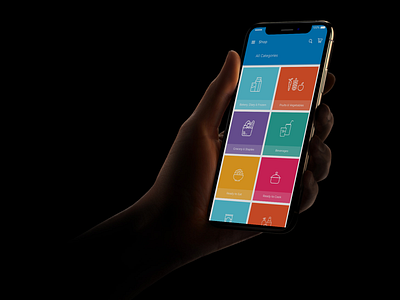 Easyday Grocery Categories app application design experience grocery icon illustration mobile ui ux