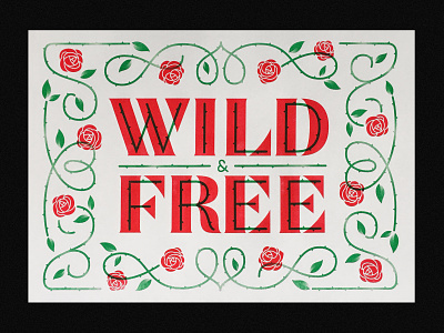 Wild & Free illustration lettering type typography