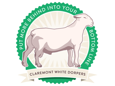 Claremont White Dorpers Badge badge ram retro sheep