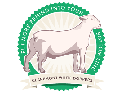 Claremont White Dorpers Badge