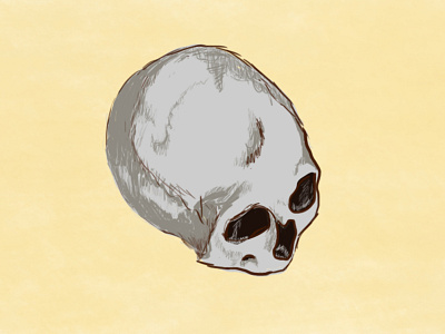 Half skull.