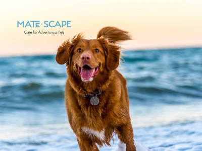 Logo Design for MateScape - Grooming & Care for Adventurous Pets