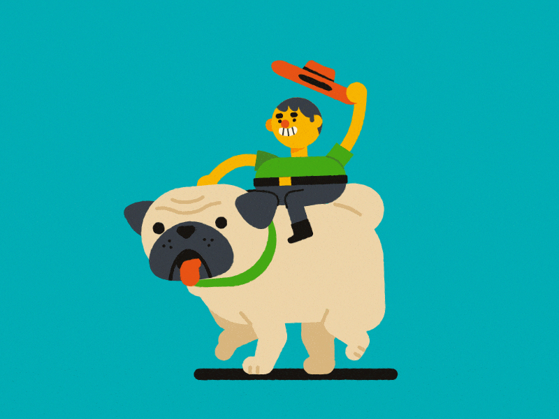 Riding pug 🐶 after effects animation character animation cowboy illustration illustrator motion motion design pug vector walking cycle