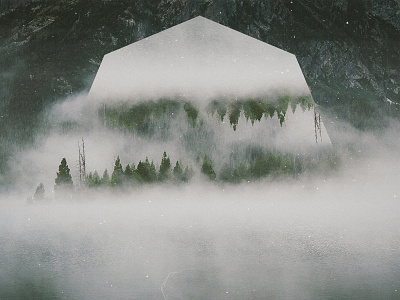 Fog in the forest - Geometric landscapes