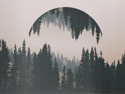 Reverted forest - Geometric landscapes