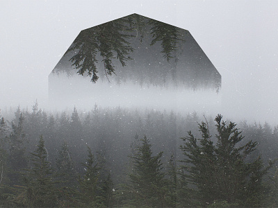 Bleak tree line in gray mist - Geometric landscapes