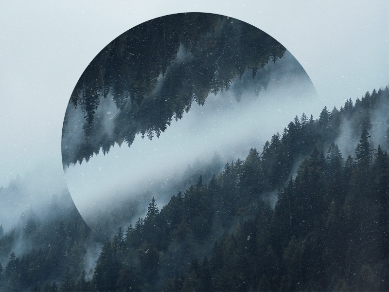 Mist Over A Dark Forest Geometric Landscapes By Camille Mollier