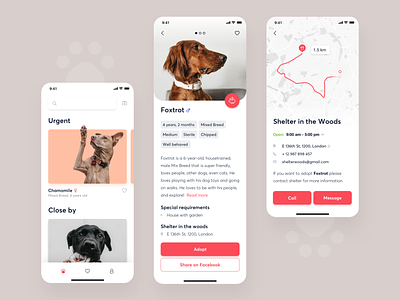 Shltr - Adoption app adoption animals app design dog donate interface mobile ui ux