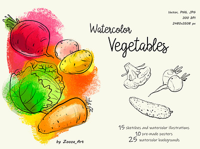 Watercolor vegetables beet cabbage carrot clipart design illustration illustrations potato prints stickers vegan vegetables vegetarian watercolor watercolor art zooza