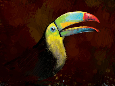 Toucan