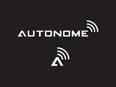 Autonome Driverless Cars