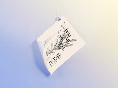 Festival branding botanical branding branding design diseño de identidad festival identity design