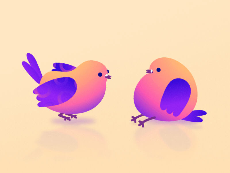 Bird Mating Call 2d after effects animation birds character funny illustration illustrator mograph motion vector