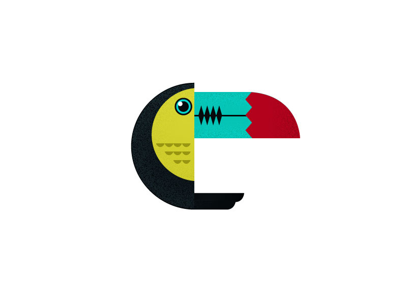 Toucan bosawas nicaragua tropical bird nature rainforests toucan