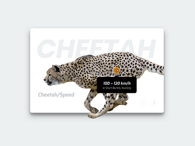 UI Challenge 087 Tooltip animal cheetah minimal tooltip ui ui ux ui ux design ui 100day ui challenge uidesign