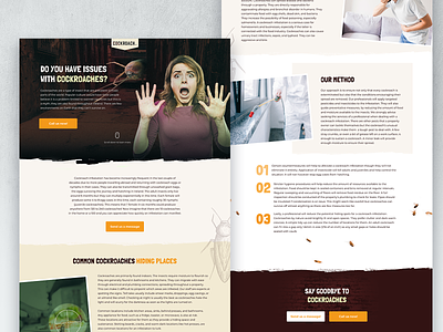 Pest Control Landing page cockroach grunge grunge texture grunge textures pest pest control scary small business smallbusiness smb ui ui ux design uidesign