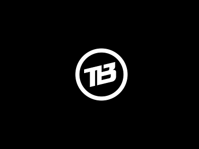 Tio Brave - Logo brand brand identity brand identity branding design exploration geometric geometry icon logo symbol vector