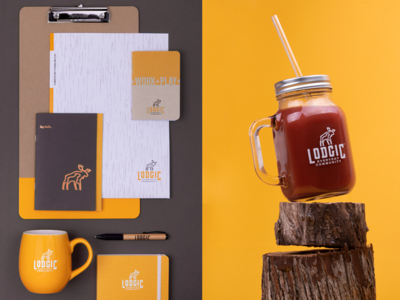 Brand Collateral: Lodgic color palette applications photography swag identity logo brand branding