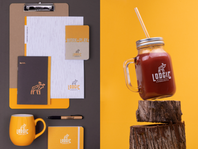 Brand Collateral: Lodgic applications brand branding color palette identity logo photography swag