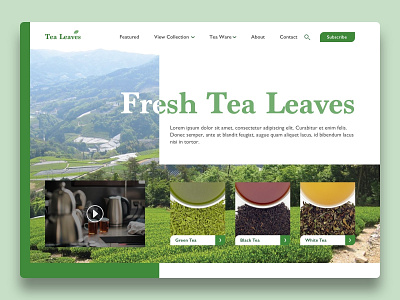 Tea Leaves concept design hero page responsive design responsive web tea ui ux web