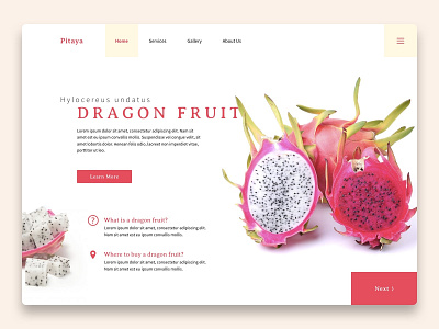 Dragon Fruit concept design dragon fruit fruit fruits hero page responsive design responsive web ui ux web web design website