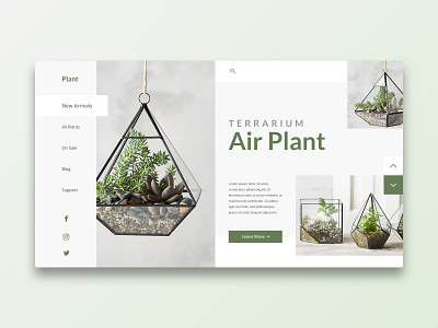 Plant concept design elegant flat hero page plant terrarium ui ux web web design website