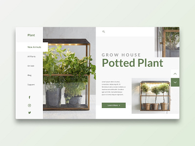 Plant 2 concept design elegant flat hero page plant terrarium ui ux web web design website