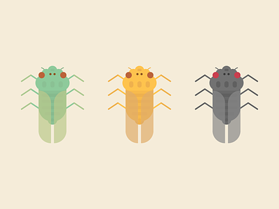 Cicadas bug cicada digital flat illustration insect