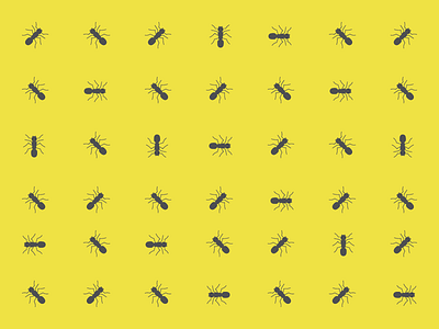 Ants ant ants crawly creepy flat design insect pattern