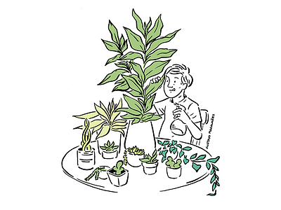 Plant Cleaning editorial editorial illustration illustration plant plant freak