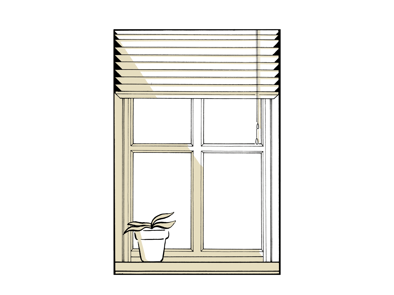 On the other side of the window animation design draw drawing frame by frame gif illustration ilustracion ilustração video window