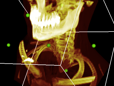 CT Adventure Time bones ct jaw teeth xray