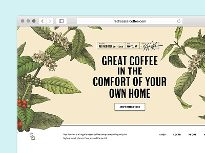 ~~~clog the feed~~~~ coffee ecommerce illustration plant subscription website