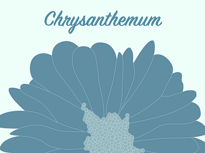 Chrysanthemum flatdesign floral sketch