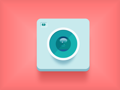 Flat Cam