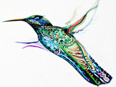 Humming Bird Watercolor art bird flight humming trippy watercolor